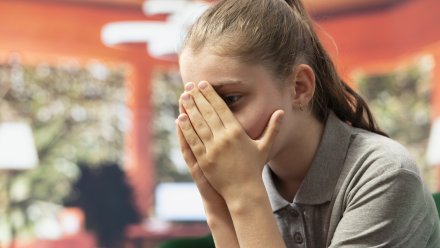 В Воронежской области культработника заподозрили в домогательствах к 13-летней девочке