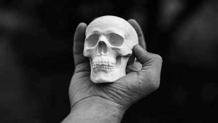 Археологи нашли череп ребёнка при раскопках в Воронежской области
