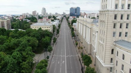 На проспекте Революции в Воронеже временно запретят парковку