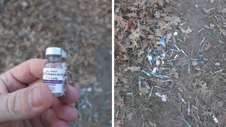 В воронежском лесу нашли использованные после пробы Манту шприцы