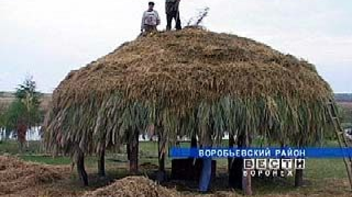 Памятник соломенной крыше появится в Воробьевском районе