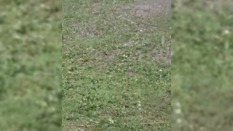 Под Воронежем пошёл град в середине июля