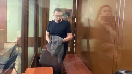 Жалоба экс-ректора ВГУ Ендовицкого на приговор в 8 лет поступила в суд 