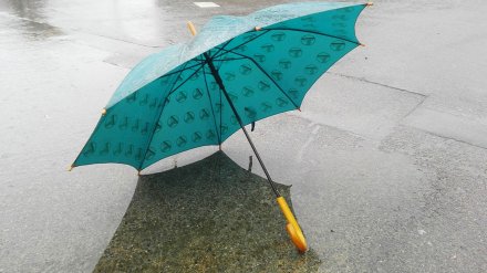 В Воронежской области рабочая неделя начнётся с мокрого снега и дождя
