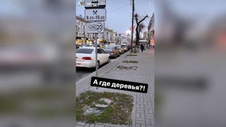 Блогер Варламов подколол мэра Воронежа после прогулки по проспекту Революции