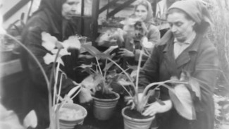 Гигантская оранжерея и поле пионов. Как расцвел воронежский ботсад в советское время