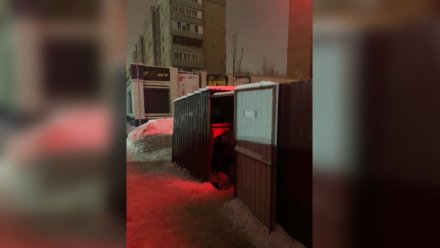 Убийца 17-летней девушки в Воронеже разослал друзьям видео с трупом