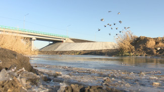 В Воронежской области открыли восстановленный после обрушения мост