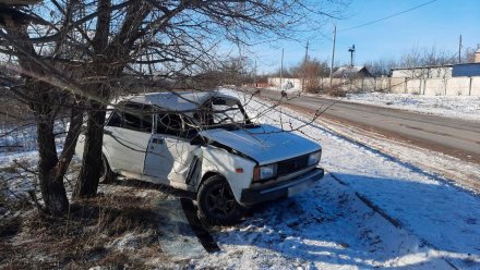 Автомобилистка врезалась в дерево на трассе под Воронежем и попала в больницу