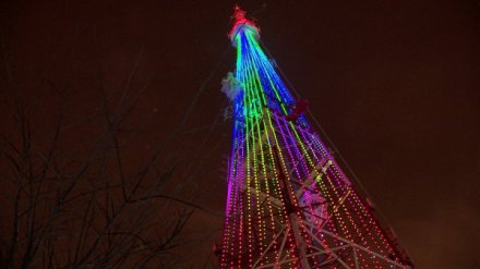 В День народного единства воронежская телебашня засияет неоновыми огнями