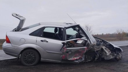 В Воронежской области пьяная автомобилистка врезалась в автобусную остановку