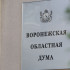 Воронежская облудма приняла бюджет региона на 3 года