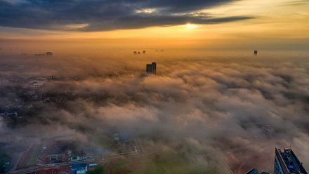 Синоптики рассказали, накроет ли Воронеж московский «радиационный» туман