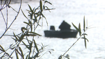 Концентрация солярки в воронежском Дону оказалась превышена в 38 раз