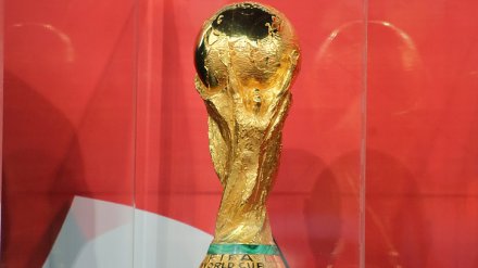 Кубок мира по футболу прибыл в Воронеж