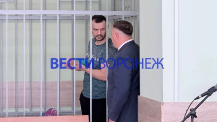 Прокуратура запросила 13 лет колонии для чёрного кредитора в Воронеже