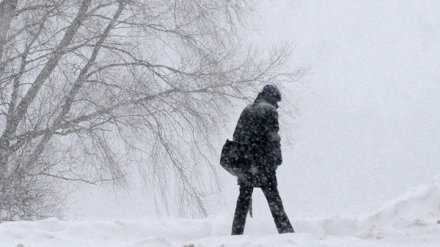 В Воронежской области исчезнувший из психинтерната мужчина нашёлся живым