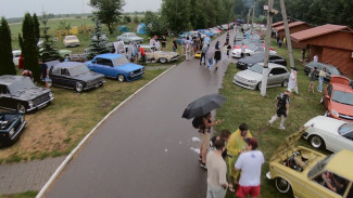 Ретро и низкая посадка. Сотни тюнингованных авто приехали на фест в Воронежской области
