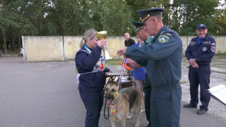 Как служебные собаки боролись за звание лучшего минно-розыскного расчёта