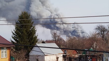 Пожар в воронежском Шилово полностью потушили