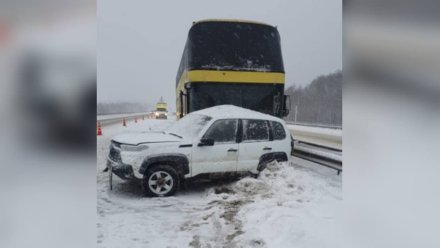 Автобус с пассажирами попал в ДТП на трассе М-4 в Воронежской области: трое пострадавших