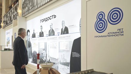 Нововоронежская АЭС представила свои инновационные энергоблоки в Совете Федерации РФ