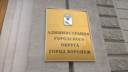 Мэр Воронежа выдвинул кандидатов в члены городской Общественной палаты 