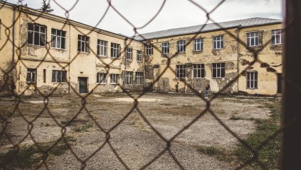 Жительницу Воронежской области отправили в колонию за долг по алиментам в 3,5 млн