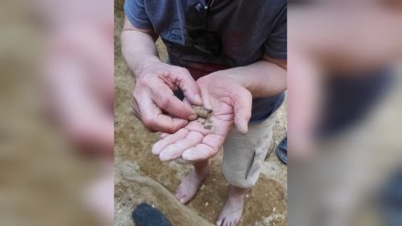 Воронежские археологи обнаружили уникальную подвеску из раковины окаменелого моллюска