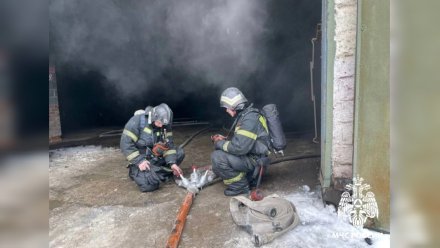 Спасатели показали последствия пожара с автобусом в воронежском ангаре