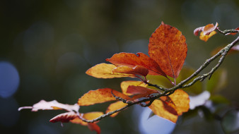 Воронежские синоптики дали прогноз на ноябрь-2025