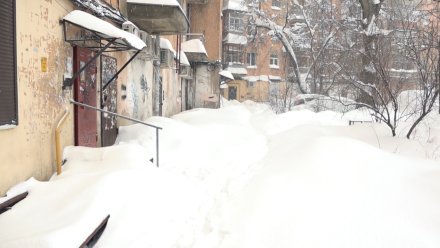 Синоптики пообещали двухдневный снегопад в Воронеже