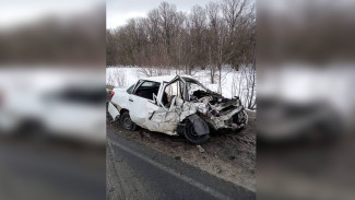 В Воронежской области начался суд по делу о гибели женщины и 2 детей в ДТП