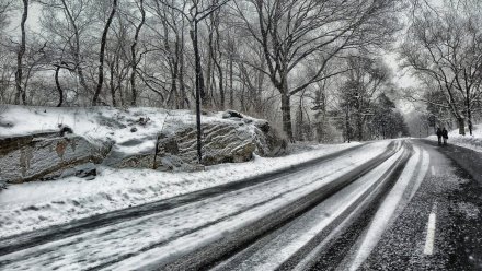 Воронежским пешеходам назвали 5 правил безопасного поведения на дороге в снегопад