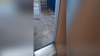 «Приходится уходить из домов». Мощный ливень затопил жителей частного сектора в Воронеже