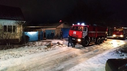 Тела двоих мужчин нашли в двух сгоревших домах в Воронежской области