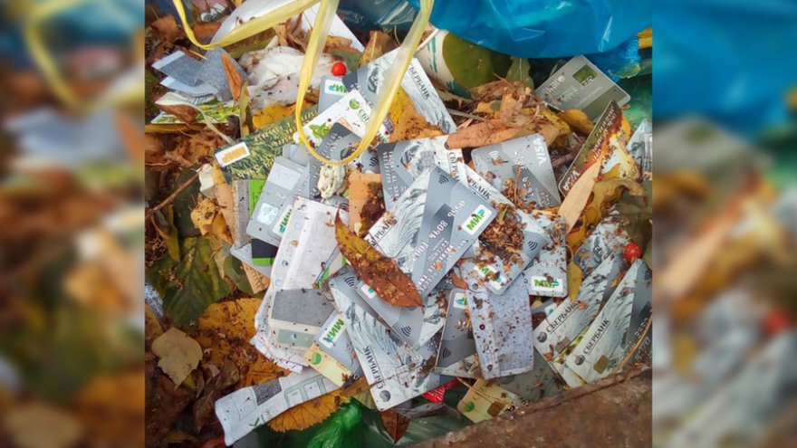 В воронежском парке нашли десятки карт Сбербанка