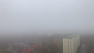 Сильный туман накрыл Воронеж в канун Хеллоуина