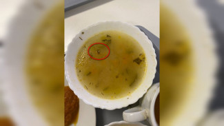 «Тараканий суп» возмутил родителей учеников воронежской школы