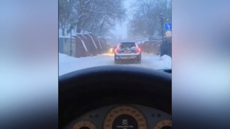 Снегопад стал причиной коллапса под Каменным мостом в Воронеже