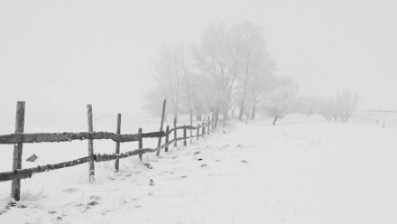 Прогноз погоды в Воронежской области на 19.01.2023