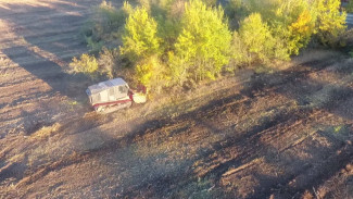В Воронеже активисты сообщили о вырубке отданных на сохранение деревьев в яблоневом саду