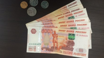 Воронежская бизнесвумен скрыла более 60 млн от налоговой