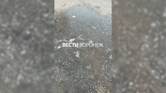 Воронежские дворы начали превращаться в катки