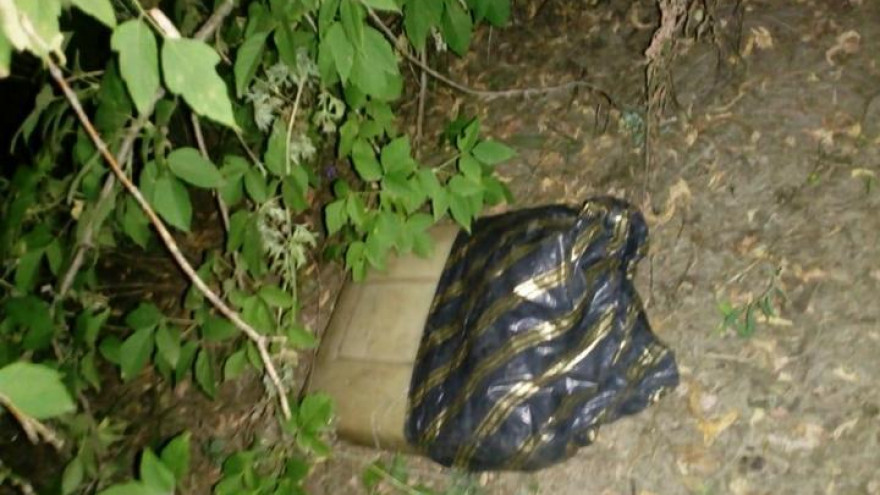 Воронежские полицейские поймали рецидивиста, спрятавшего для продажи 17 кг яда