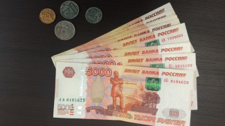 Губернатор назвал достойную для воронежцев зарплату