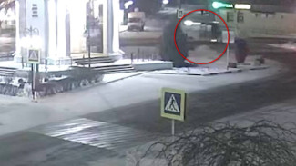 Под Воронежем столкнулись автобус и легковушка: появилось видео