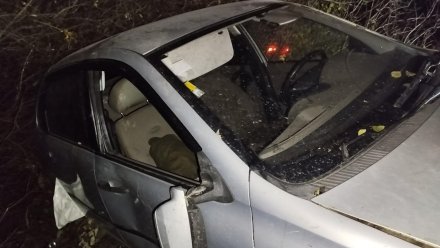 Мужчина погиб в вылетевшей в кювет машине на трассе Воронеж – Луганск