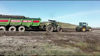 Урожай свёклы в Воронежской области стал выше в 2022 году