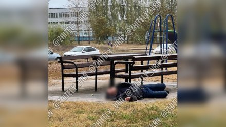 В полиции начали проверку после обнаружения трупа на детской площадке в Воронеже